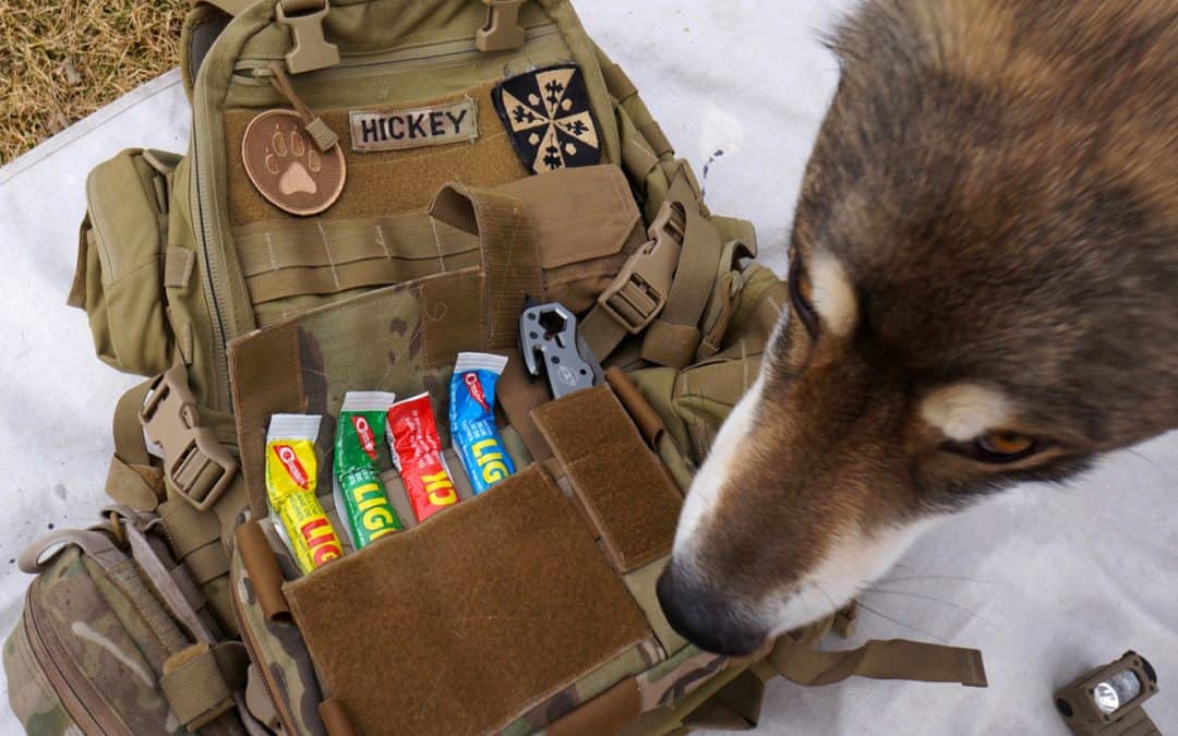 Fast Pack Friday: The Dog-Out Bag