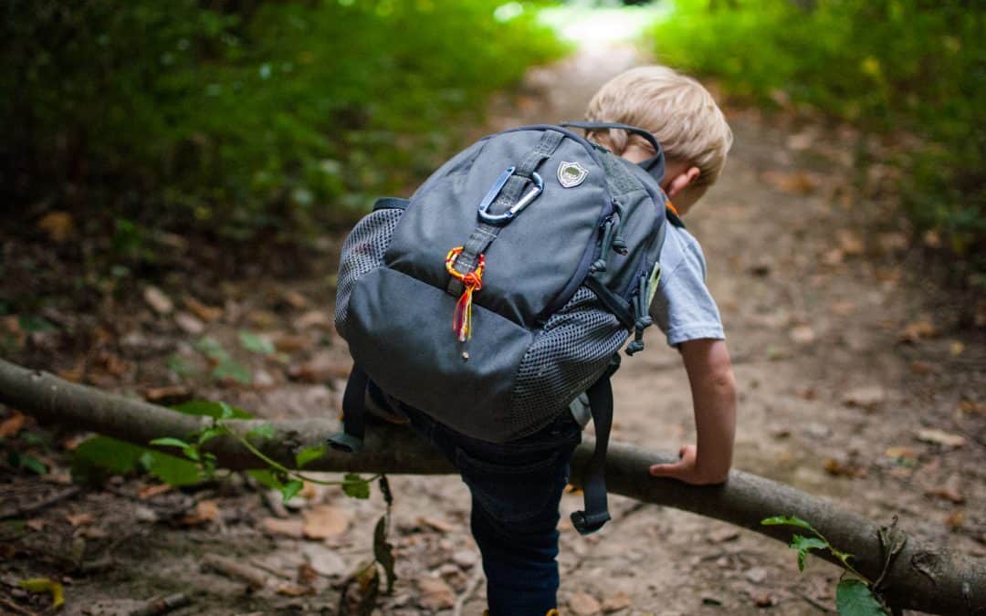 Review: Cub Ruck